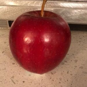 Meet your Posher, Celina